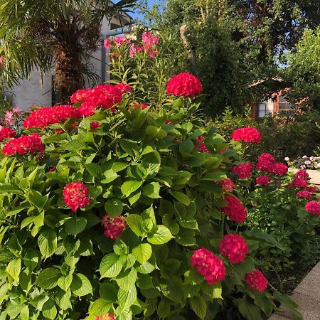 Casa Hortensia นยีวีเซ ภายนอก รูปภาพ