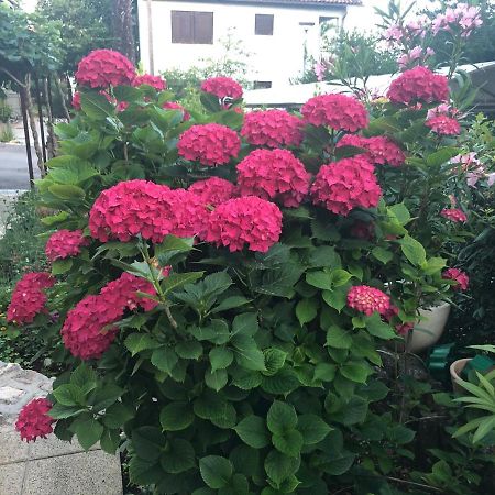 Casa Hortensia นยีวีเซ ภายนอก รูปภาพ