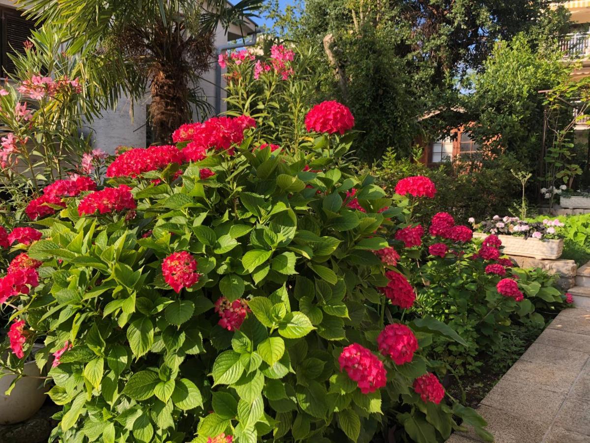 Casa Hortensia นยีวีเซ ภายนอก รูปภาพ