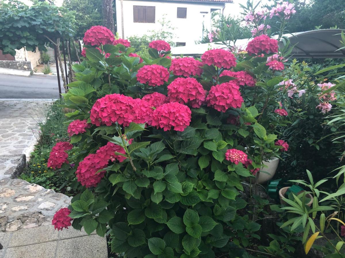 Casa Hortensia นยีวีเซ ภายนอก รูปภาพ